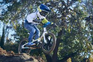 Husqvarna-ELECTRIC-BALANCE-